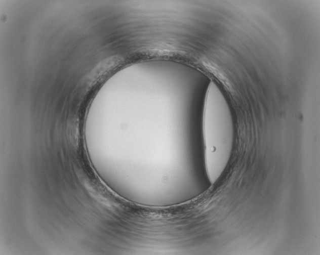 X0000088840494200706071154