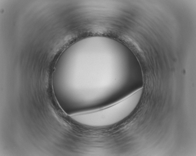 X0000088840496200706071154