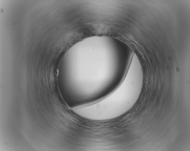 X0000088840516200706071154
