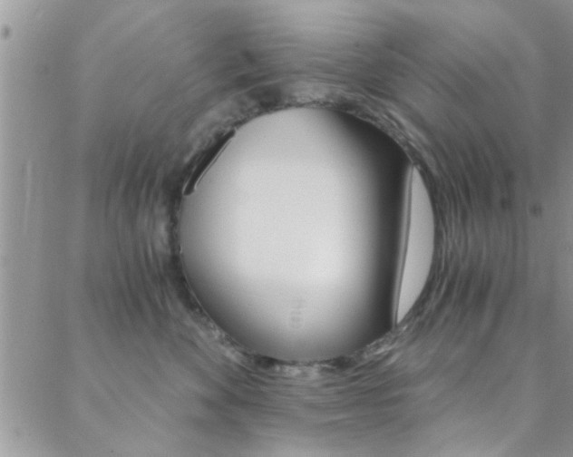 X0000088840524200706071154