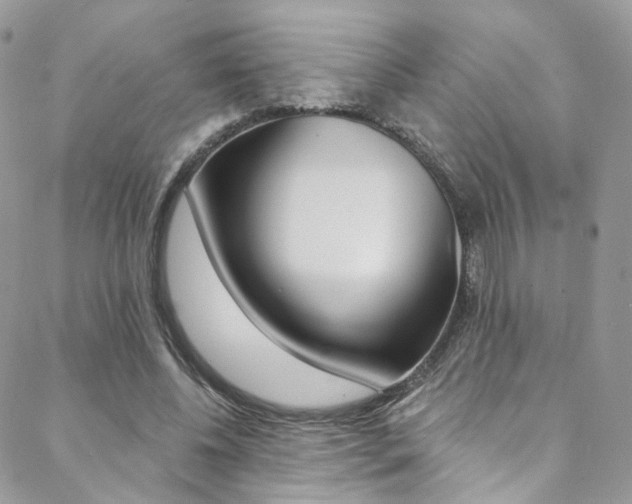 X0000088840540200706071153