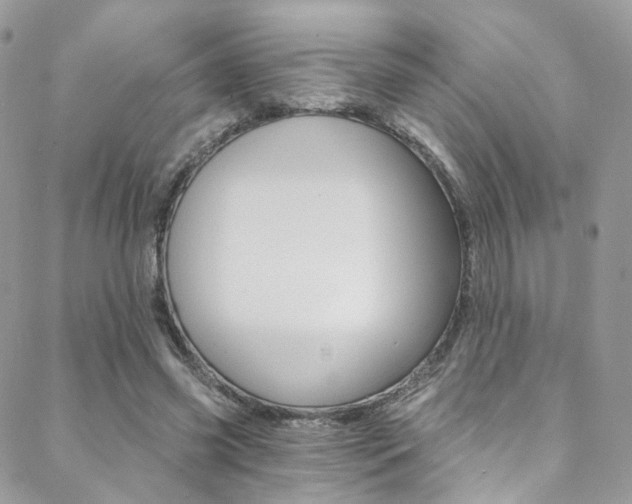 X0000088840541200706071153