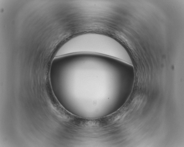 X0000088840546200706071153