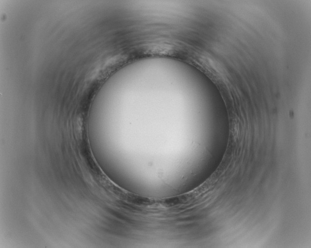X0000088840551200706071153