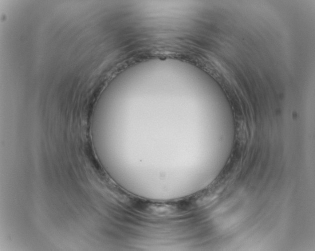 X0000088840557200706071153