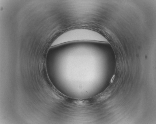 X0000088840558200706071153