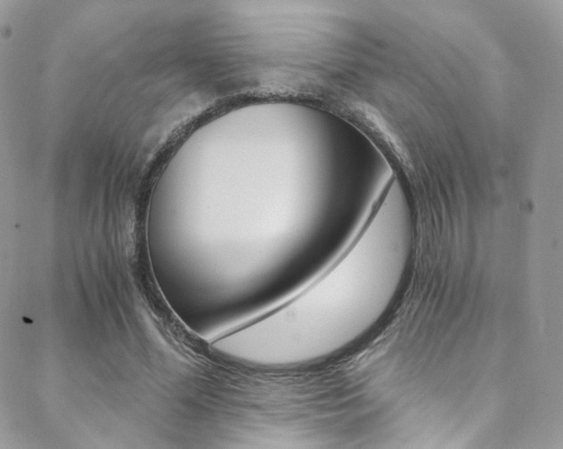X0000088840588200706071153