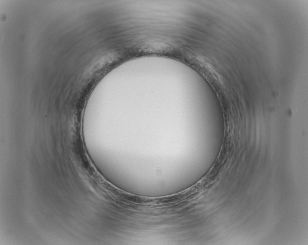 X0000088840591200706071153