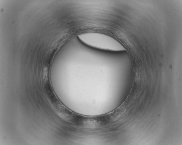X0000088840598200706071152