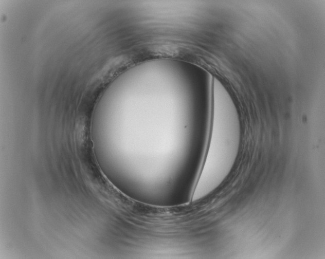 X0000088840600200706071152