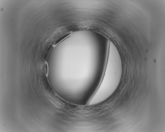 X0000088840601200706071152