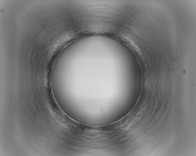 X0000088840635200706071151