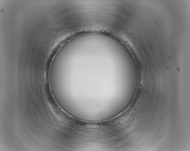 X0000088840636200706071151