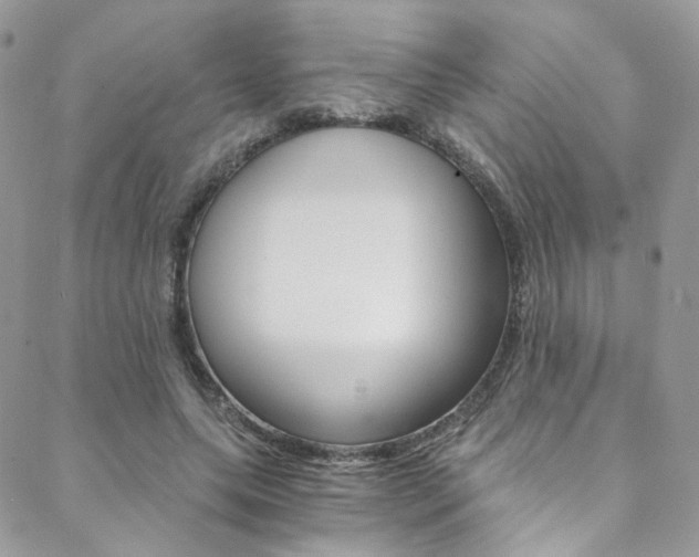 X0000088840639200706071151