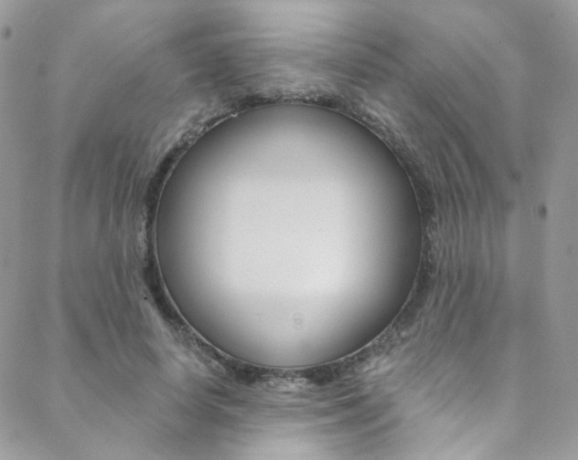 X0000088840642200706071151