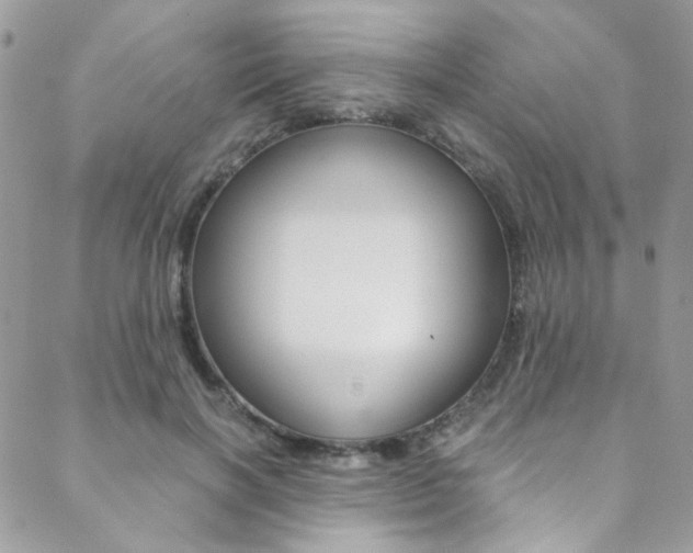 X0000088840646200706071152