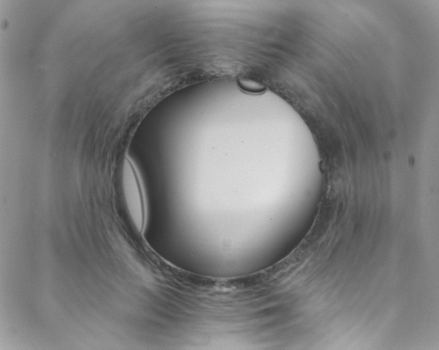 X0000088840647200706071152