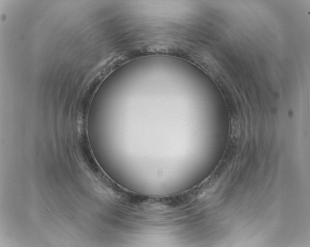 X0000088840648200706071152