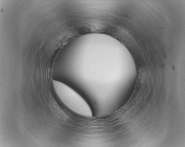 X0000088840650200706071152