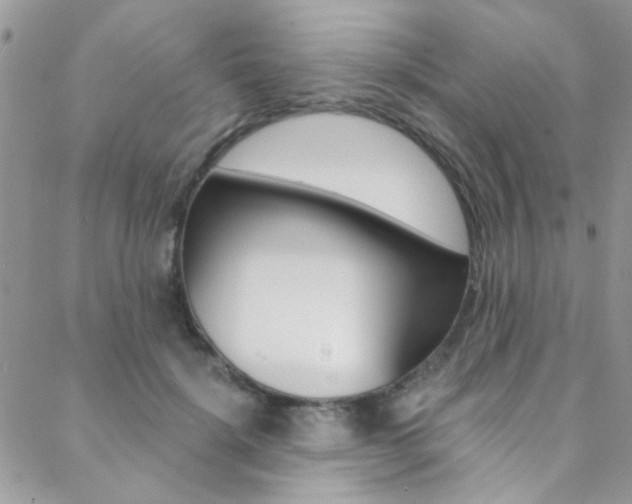 X0000088840652200706071152