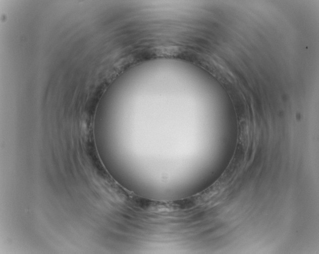 X0000088840655200706071152