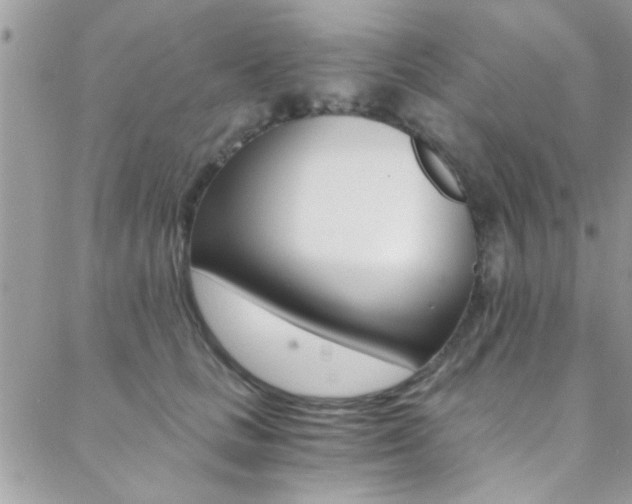 X0000088840661200706071152
