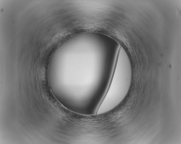 X0000088840689200706071151