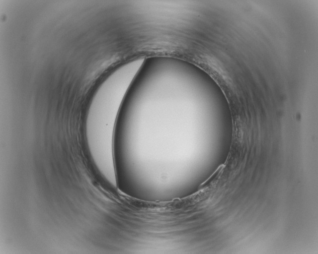 X0000088840692200706071151