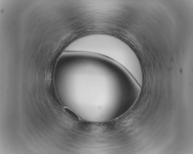 X0000088840697200706071151