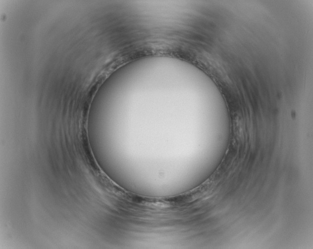 X0000088840698200706071151