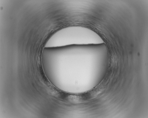 X0000088840699200706071151