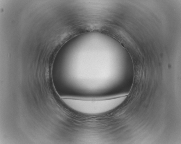 X0000088840700200706071151
