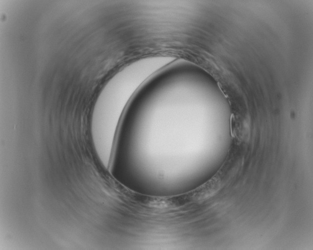 X0000088840704200706071151