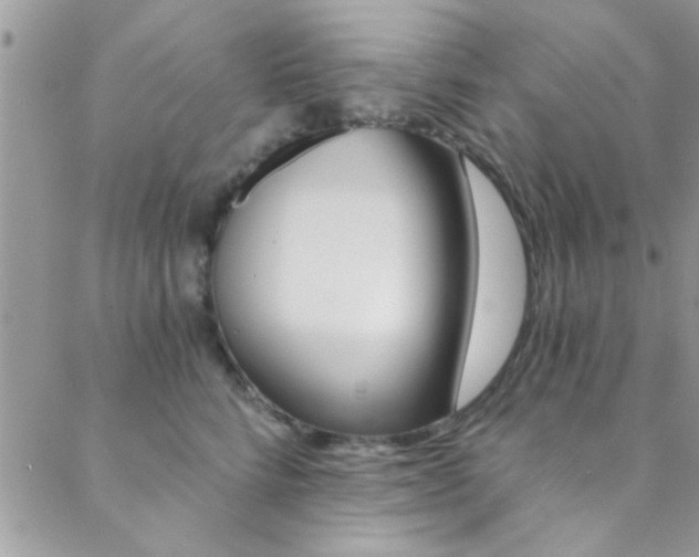 X0000088840712200706071151