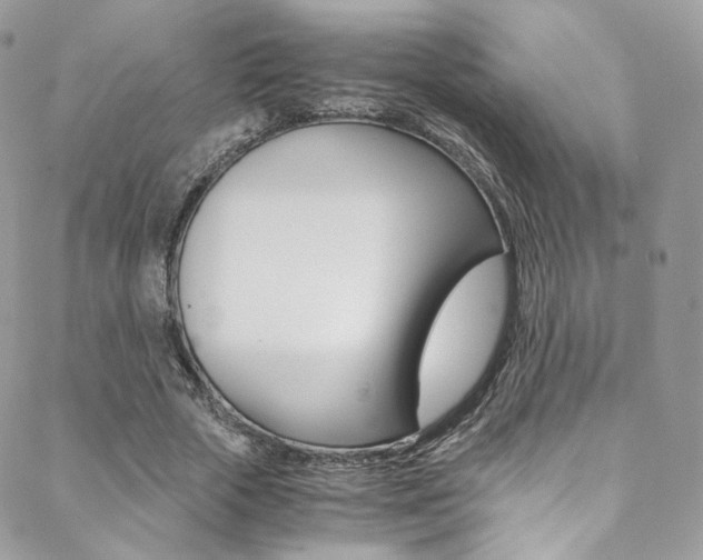 X0000088840729200706071150