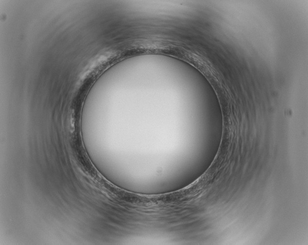 X0000088840731200706071150