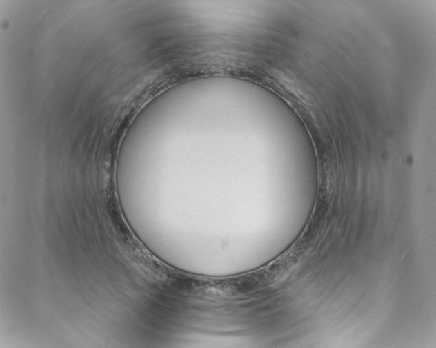 X0000088840737200706071150