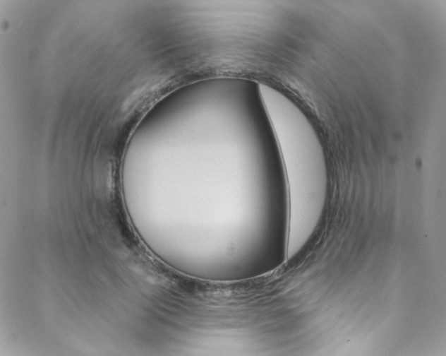 X0000088840740200706071150