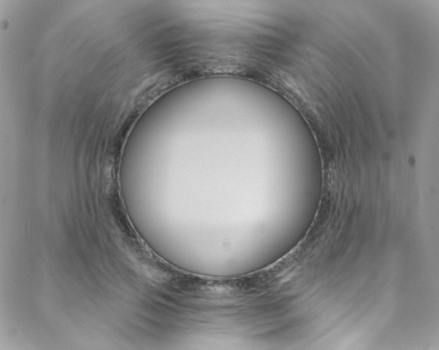 X0000088840741200706071150