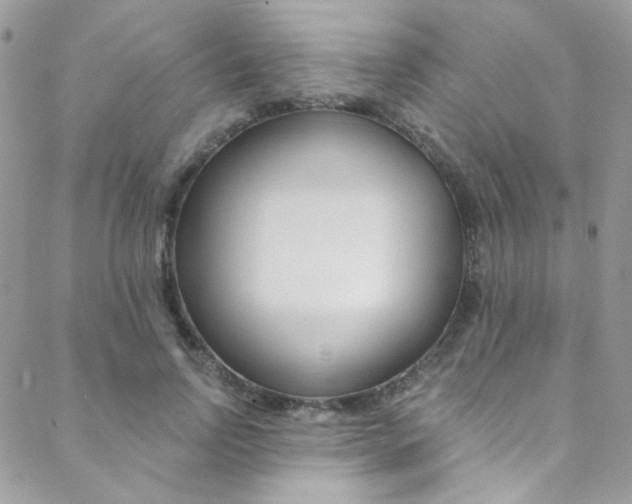X0000088840742200706071150