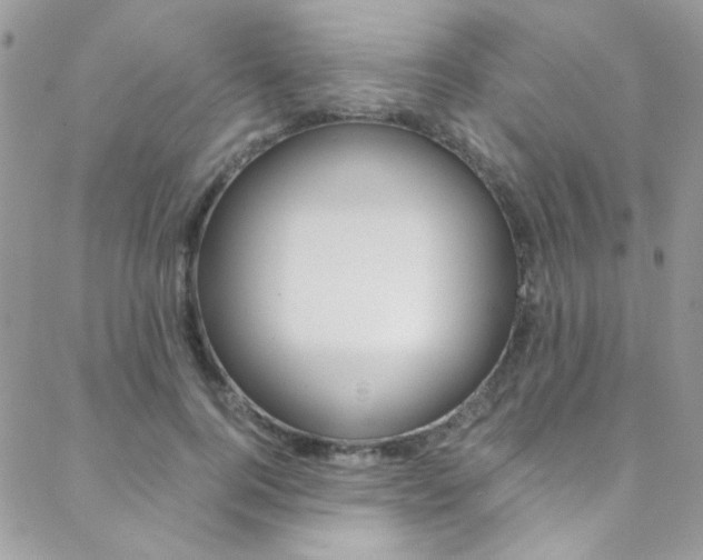 X0000088840744200706071150