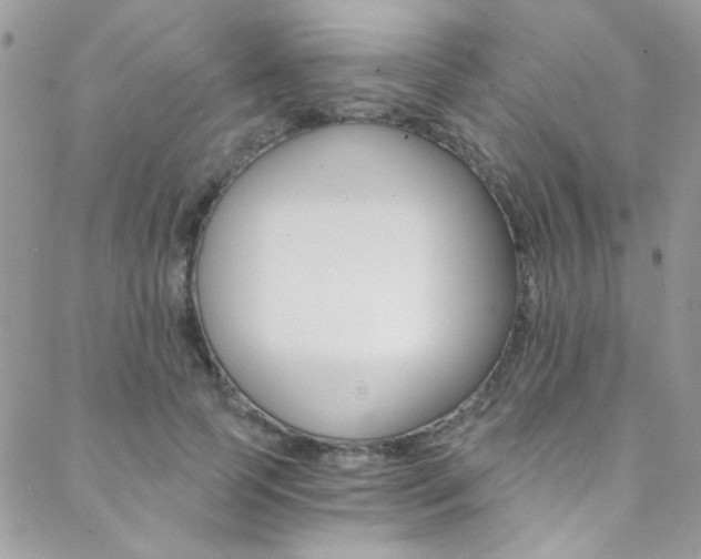 X0000088840745200706071150