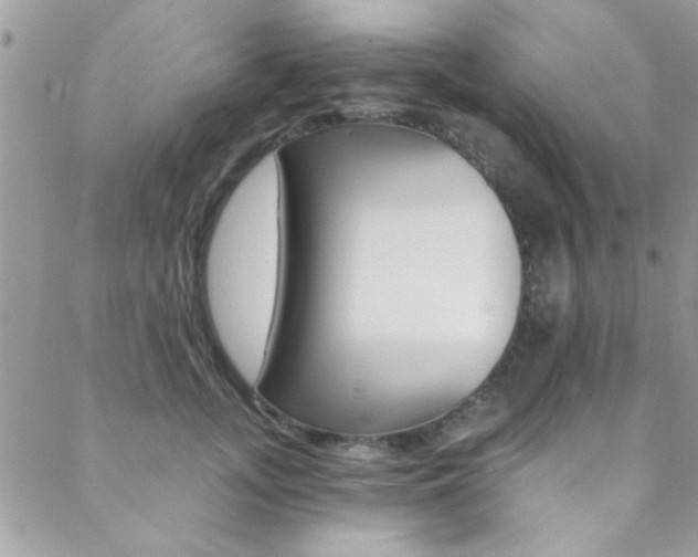 X0000088840755200706071150