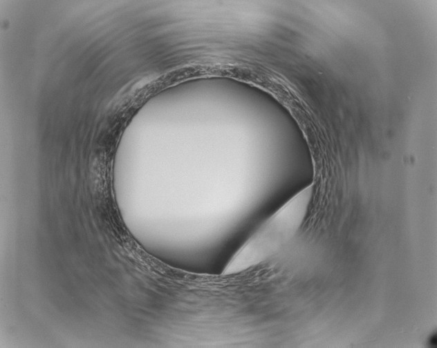 X0000088840773200706071150