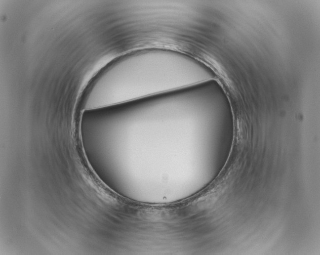 X0000088840780200706071149