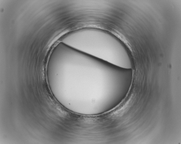 X0000088840782200706071149