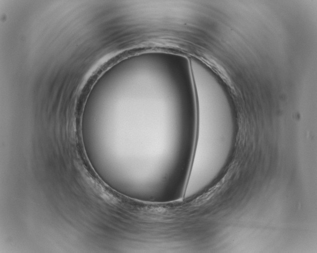 X0000088840784200706071149