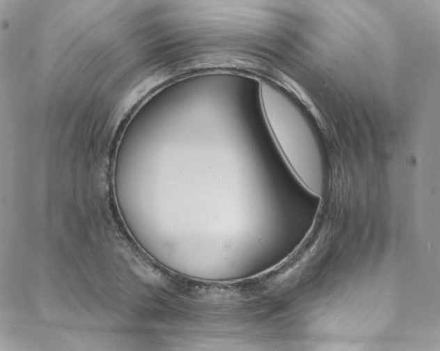 X0000088840786200706071149
