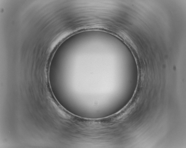 X0000088840789200706071149