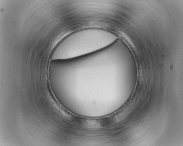 X0000088840794200706071149